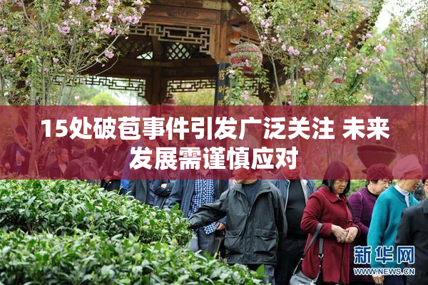 15处破苞事件引发广泛关注 未来发展需谨慎应对