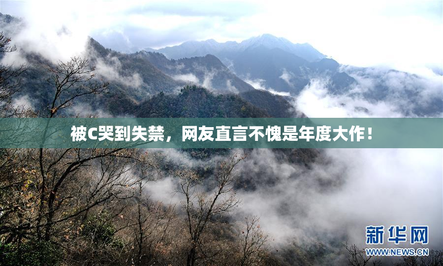 被C哭到失禁，网友直言不愧是年度大作！