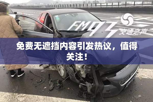 免费无遮挡内容引发热议，值得关注！