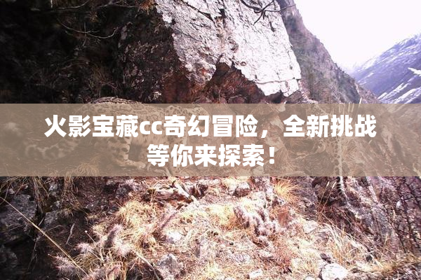 火影宝藏cc奇幻冒险，全新挑战等你来探索！