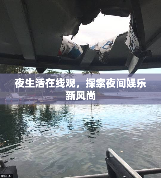 夜生活在线观，探索夜间娱乐新风尚