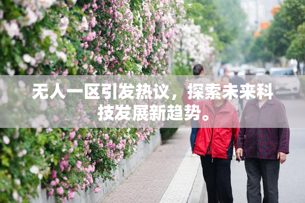 无人一区引发热议，探索未来科技发展新趋势。