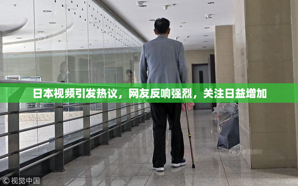 日本视频引发热议，网友反响强烈，关注日益增加