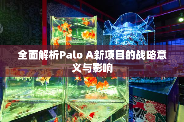全面解析Palo A新项目的战略意义与影响