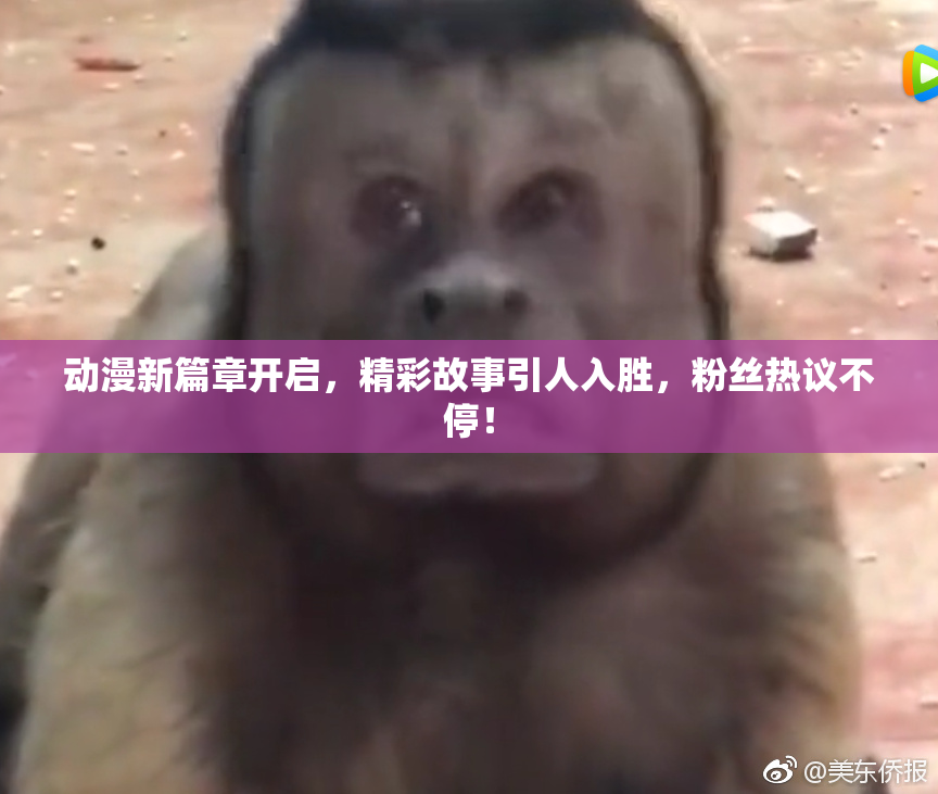 动漫新篇章开启，精彩故事引人入胜，粉丝热议不停！