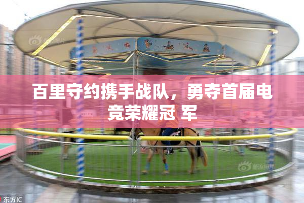 百里守约携手战队，勇夺首届电竞荣耀冠 军