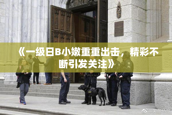 《一级日B小嫩重重出击，精彩不断引发关注》