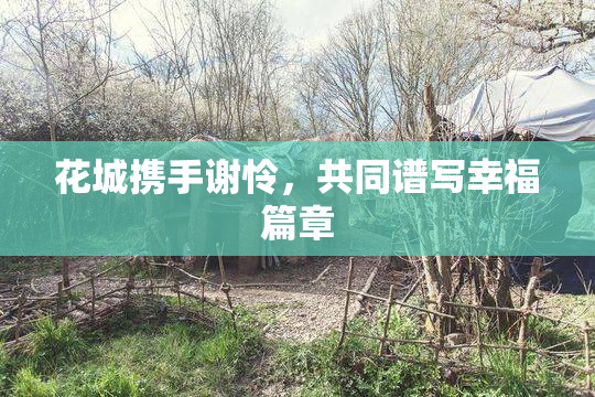 花城携手谢怜，共同谱写幸福篇章