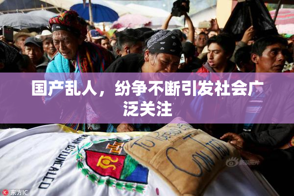 国产乱人，纷争不断引发社会广泛关注