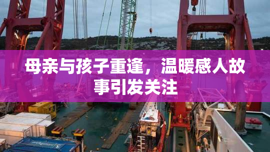 母亲与孩子重逢，温暖感人故事引发关注