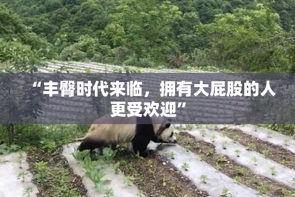 “丰臀时代来临，拥有大屁股的人更受欢迎”