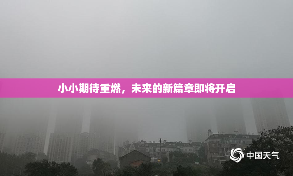 小小期待重燃，未来的新篇章即将开启