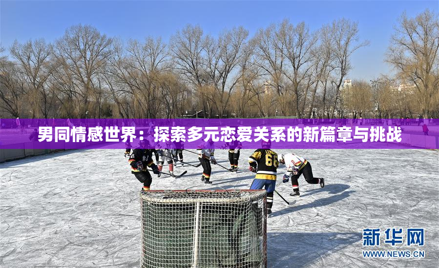 男同情感世界：探索多元恋爱关系的新篇章与挑战