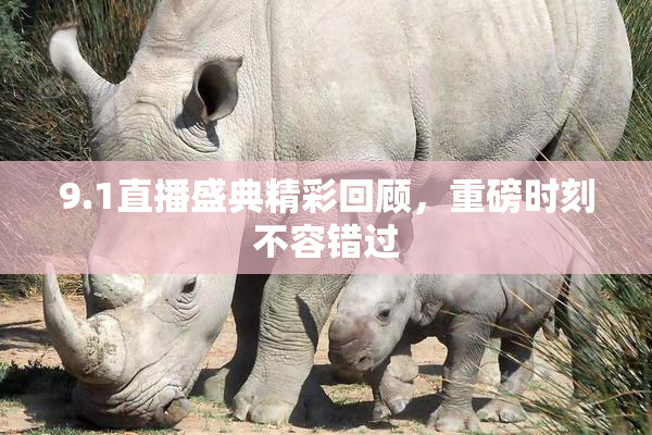 9.1直播盛典精彩回顾，重磅时刻不容错过