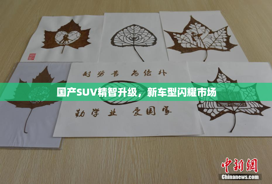 国产SUV精智升级，新车型闪耀市场