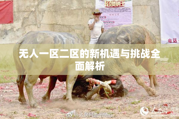 无人一区二区的新机遇与挑战全面解析