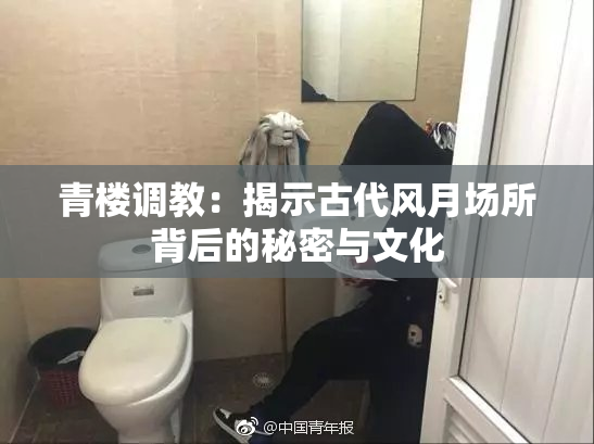 青楼调教：揭示古代风月场所背后的秘密与文化