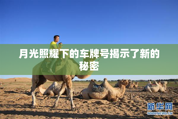 月光照耀下的车牌号揭示了新的秘密