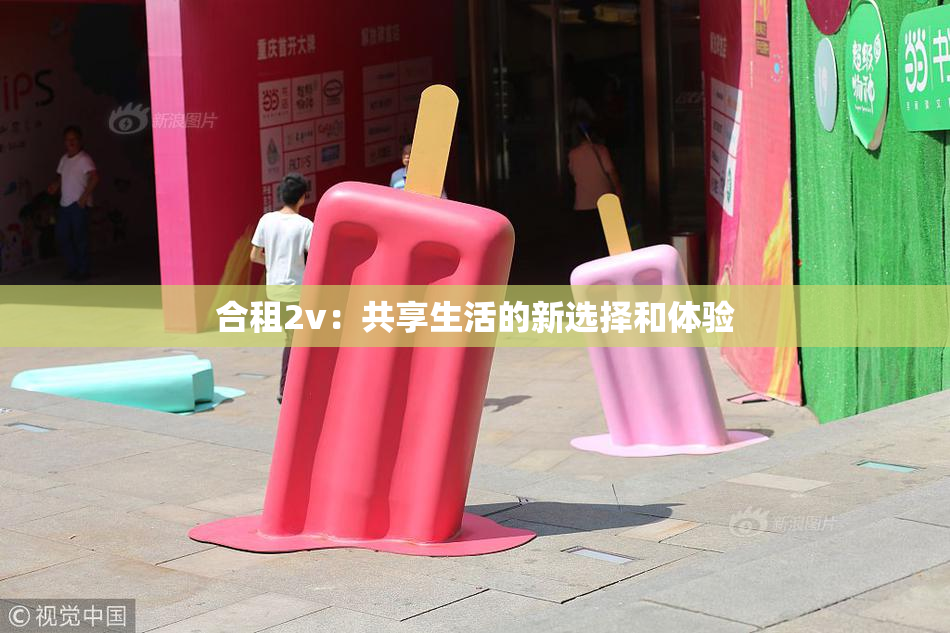 合租2v：共享生活的新选择和体验