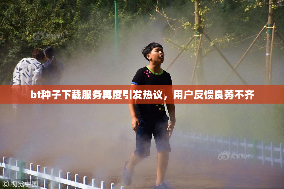bt种子下载服务再度引发热议，用户反馈良莠不齐