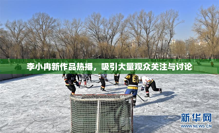 李小冉新作品热播，吸引大量观众关注与讨论