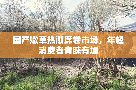 国产嫩草热潮席卷市场，年轻消费者青睐有加