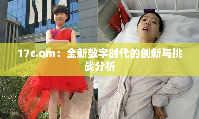 17c.om：全新数字时代的创新与挑战分析