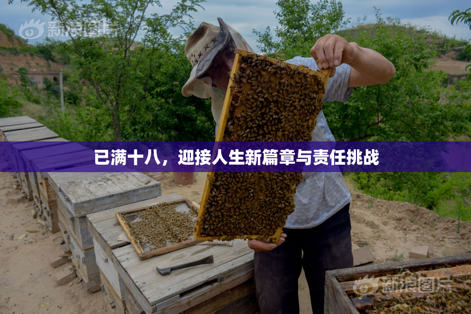 已满十八，迎接人生新篇章与责任挑战