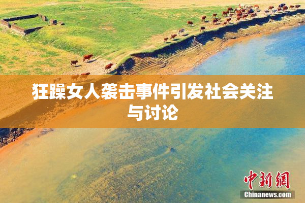 狂躁女人袭击事件引发社会关注与讨论