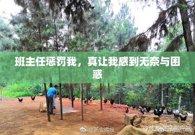 班主任惩罚我，真让我感到无奈与困惑