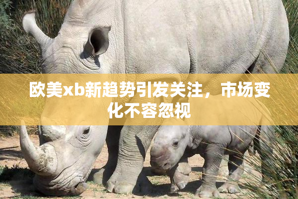 欧美xb新趋势引发关注，市场变化不容忽视