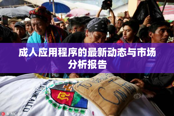 成人应用程序的最新动态与市场分析报告