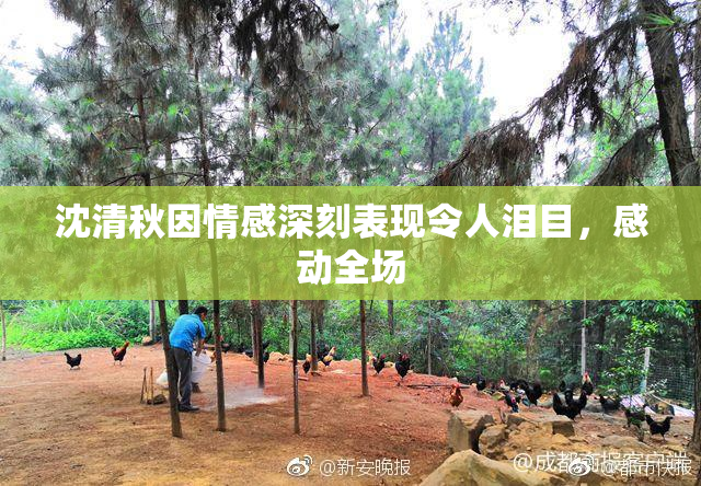 沈清秋因情感深刻表现令人泪目，感动全场