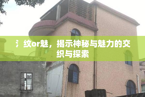 氵纹or魅，揭示神秘与魅力的交织与探索