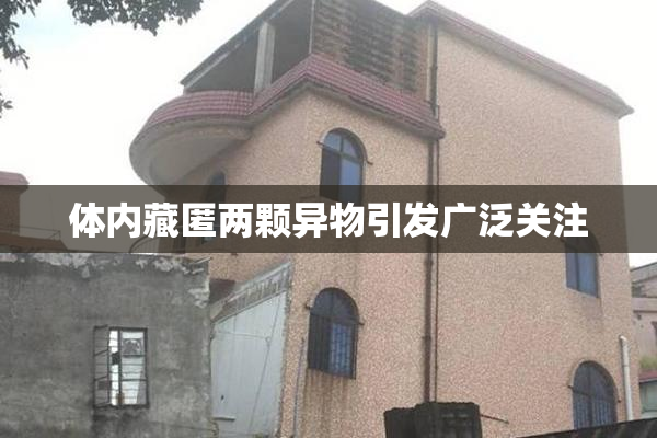 体内藏匿两颗异物引发广泛关注