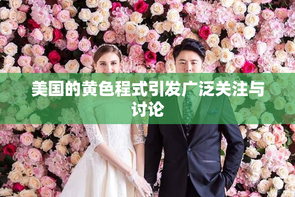 美国的黄色程式引发广泛关注与讨论