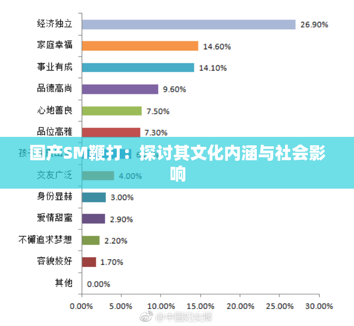 国产SM鞭打：探讨其文化内涵与社会影响