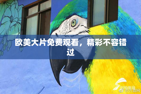 欧美大片免费观看，精彩不容错过
