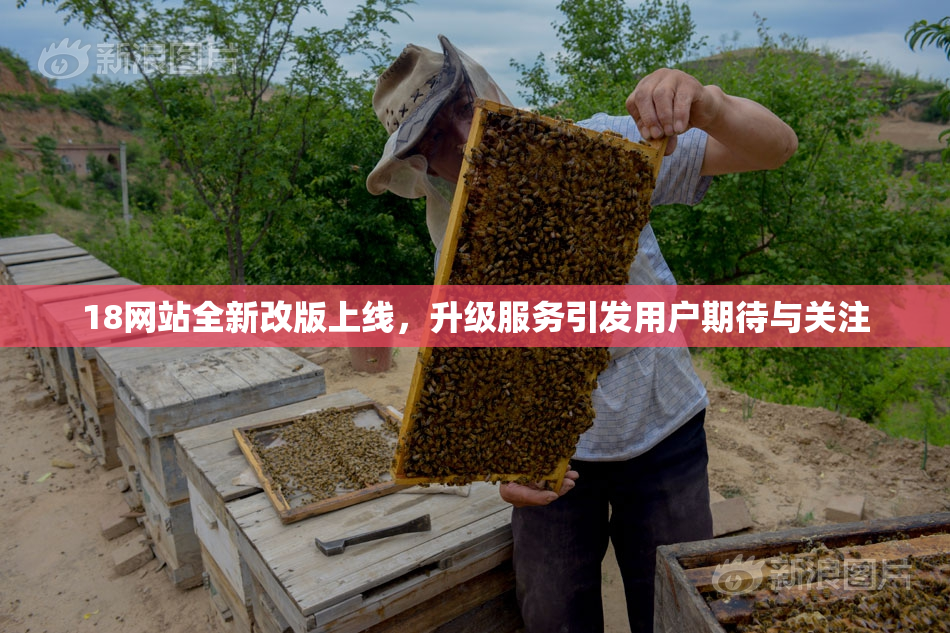 18网站全新改版上线，升级服务引发用户期待与关注