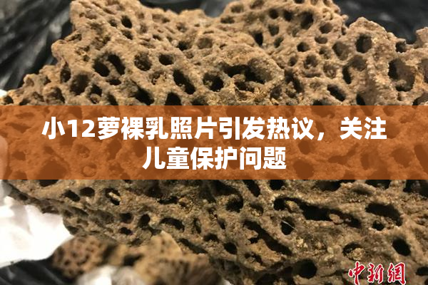 小12萝裸乳照片引发热议，关注儿童保护问题