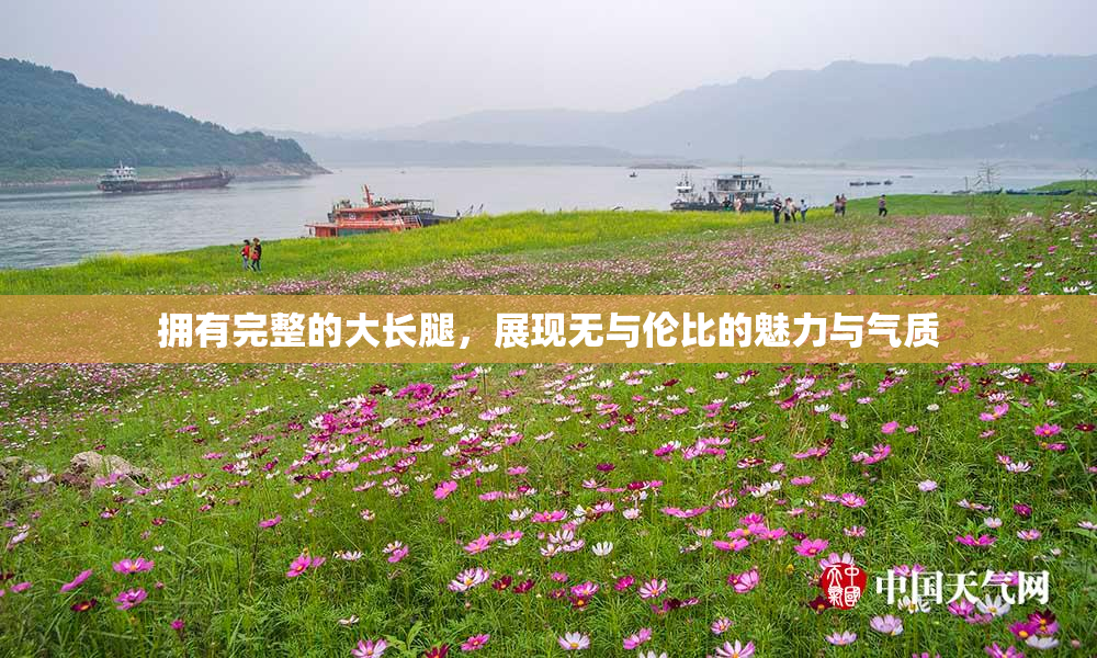 拥有完整的大长腿，展现无与伦比的魅力与气质
