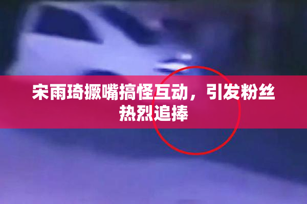宋雨琦撅嘴搞怪互动，引发粉丝热烈追捧