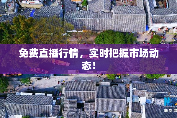 免费直播行情，实时把握市场动态！