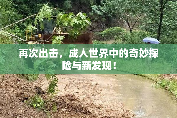 再次出击，成人世界中的奇妙探险与新发现！