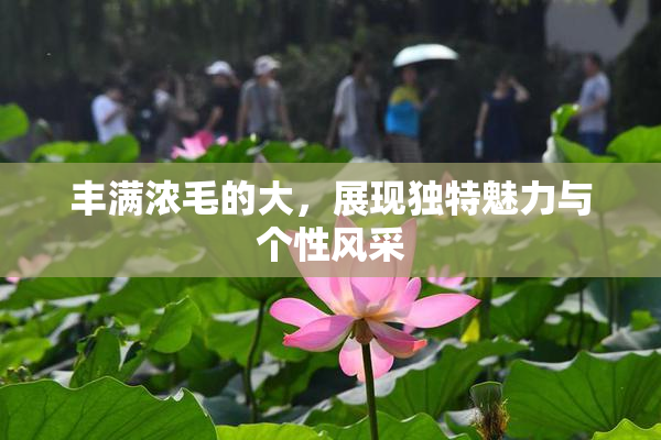 丰满浓毛的大，展现独特魅力与个性风采