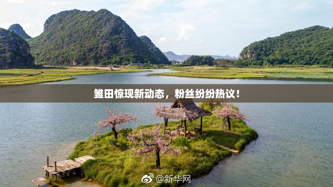 雏田惊现新动态，粉丝纷纷热议！
