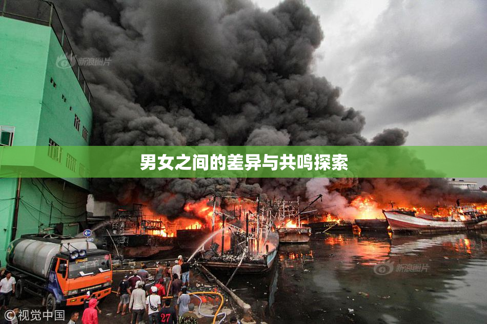 男女之间的差异与共鸣探索