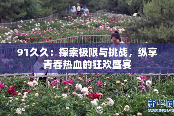 91久久：探索极限与挑战，纵享青春热血的狂欢盛宴