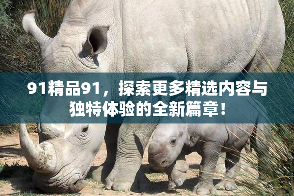 91精品91，探索更多精选内容与独特体验的全新篇章！