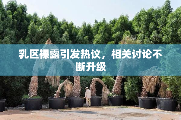 乳区裸露引发热议，相关讨论不断升级